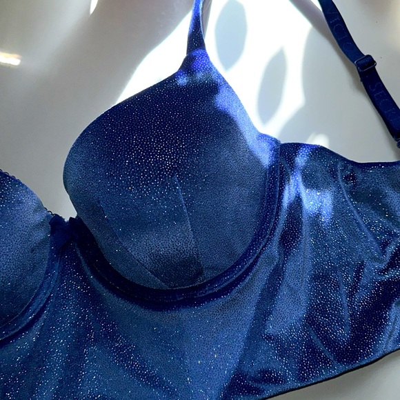 🪲[ VS ] Body by Victoria Shimmer Long Lined Demi - Picture 11 of 11